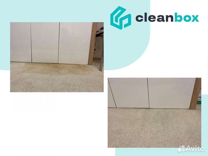 Аренда моющего пылесоса