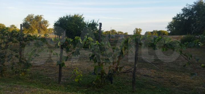 Дом 60,6 м² на участке 15 сот.