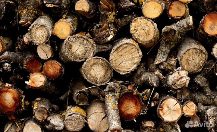 Дрова мелкоколотые