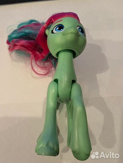 Пони номер 19