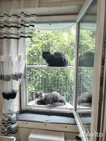 Балкон для кошки