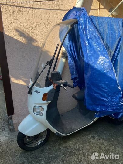 Скутер Honda Gyro Canopy