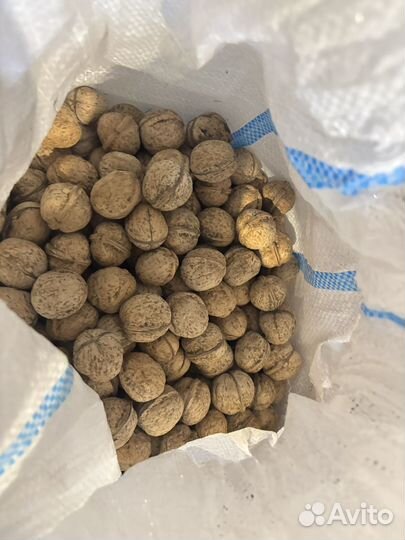 Грецкий орех