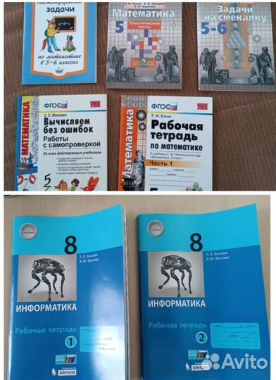 Математика 5-6кл, информатика 8 кл