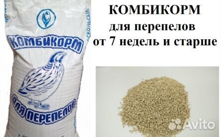 Перепелиный корм