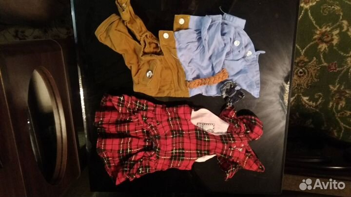 Комбенизон для той-терьера