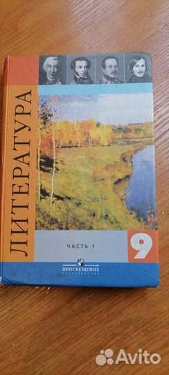 Литература 9 класс (1 часть)