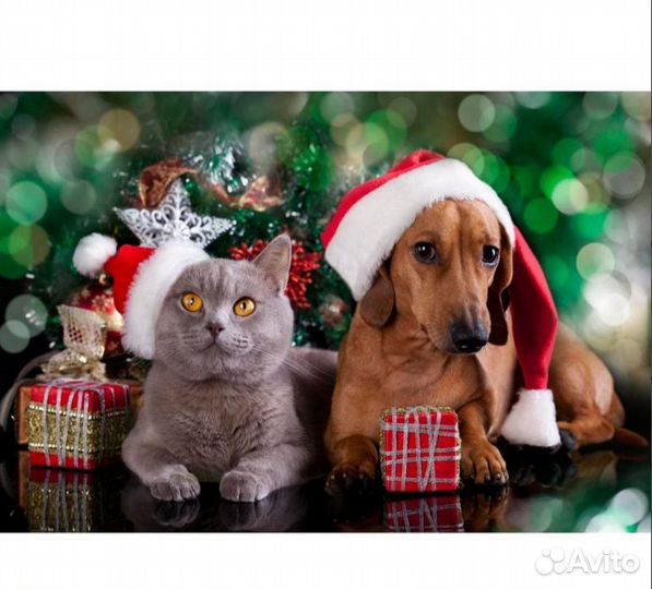 Роспись по холсту Помощники Санты, 40х50 см, Х-597