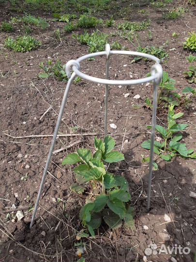 Каркас мини-парника