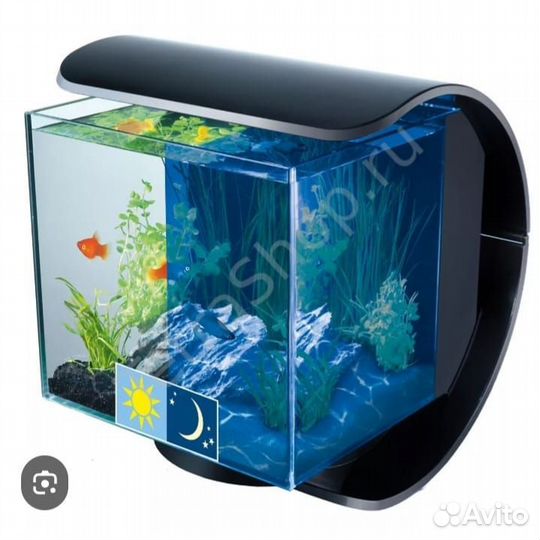Аквариум
