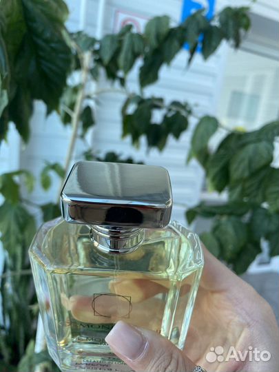 Ormonde jayne montabaco