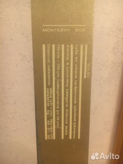 Лыжи горные детские