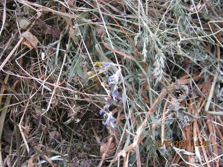 Сено рулоны 500 кг