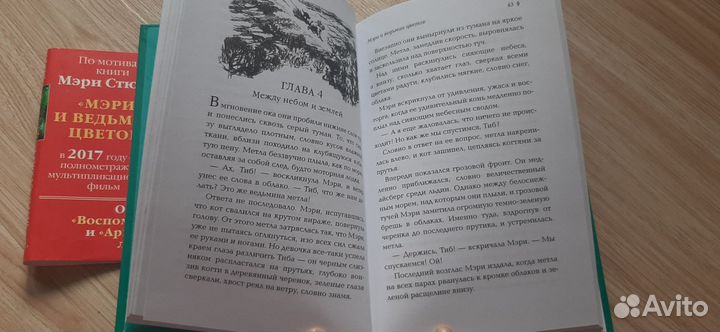 Книги для подростков (10+)