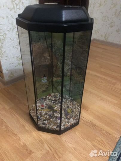 Аквариум 50 литров