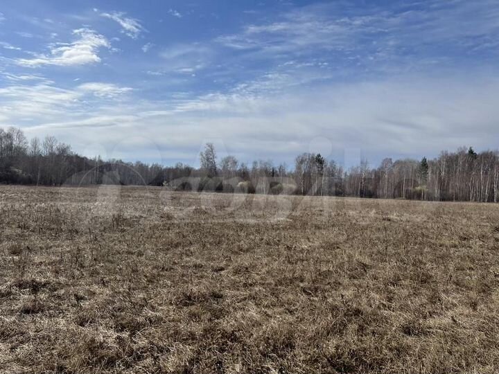 Участок 6 га (СНТ, ДНП)