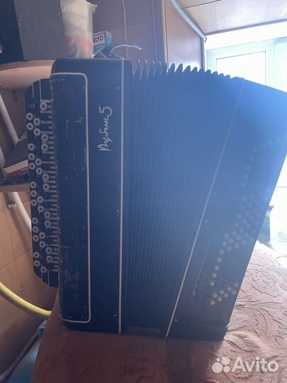 Баян рубин 5