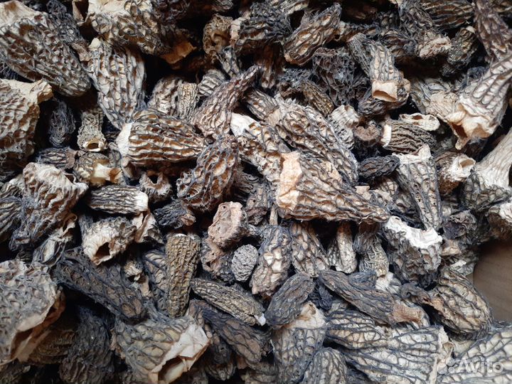 Сушеные грибы