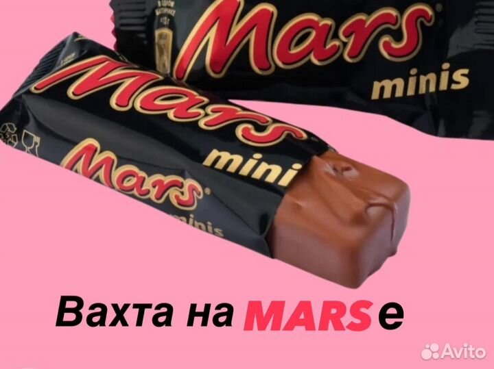 Вахта упаковщик шоколада/проезд+жилье