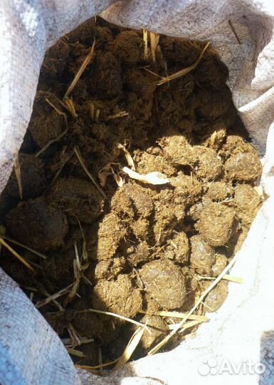 Продам конский навоз в мешках