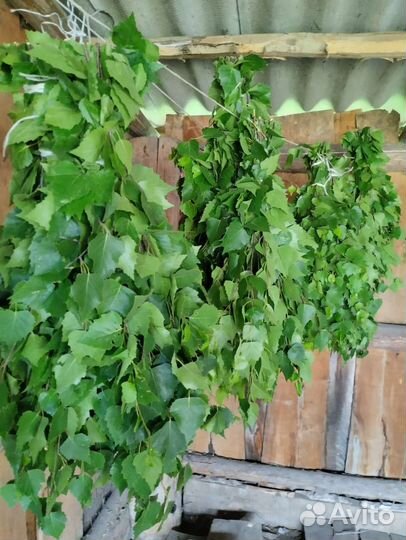 Продам веники