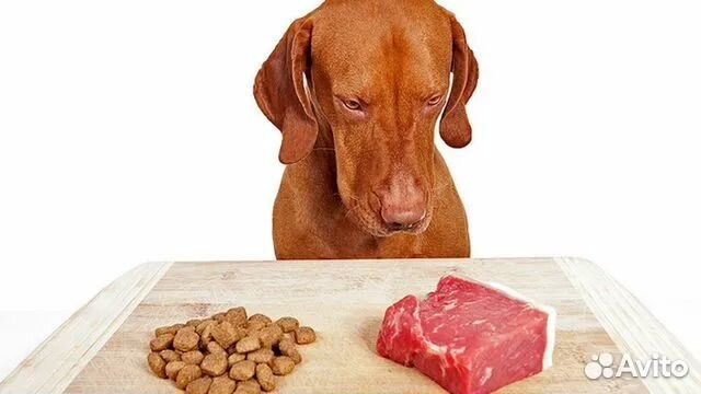 Мясо для собак
