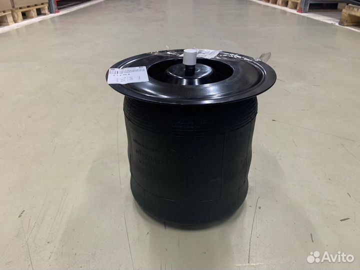 Рессора пневмотическая 0501217174