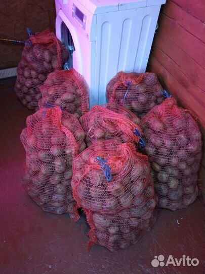 Продам картофель