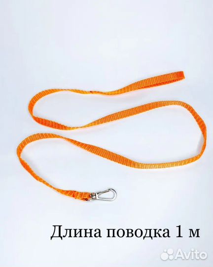 Шлейка для попугая