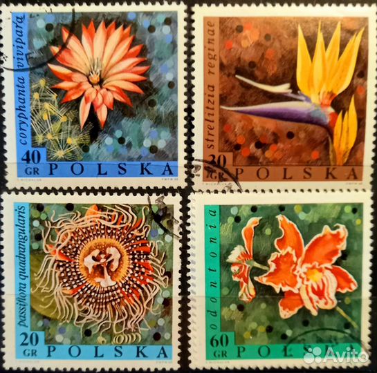 Редкие марки Польши прошлого века (обмен)