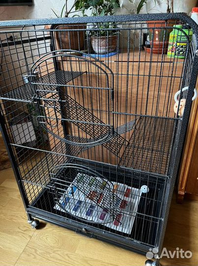 Клетка для грызунов или попугаев