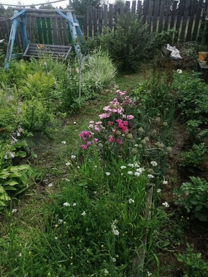 Дом 48 м² на участке 12 сот.