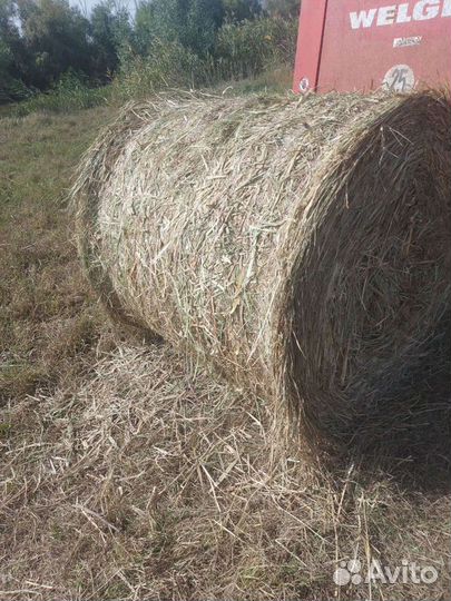 Сено в рулонах