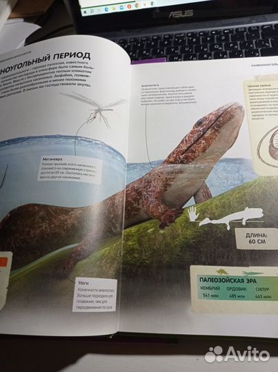 Книги о динозаврах
