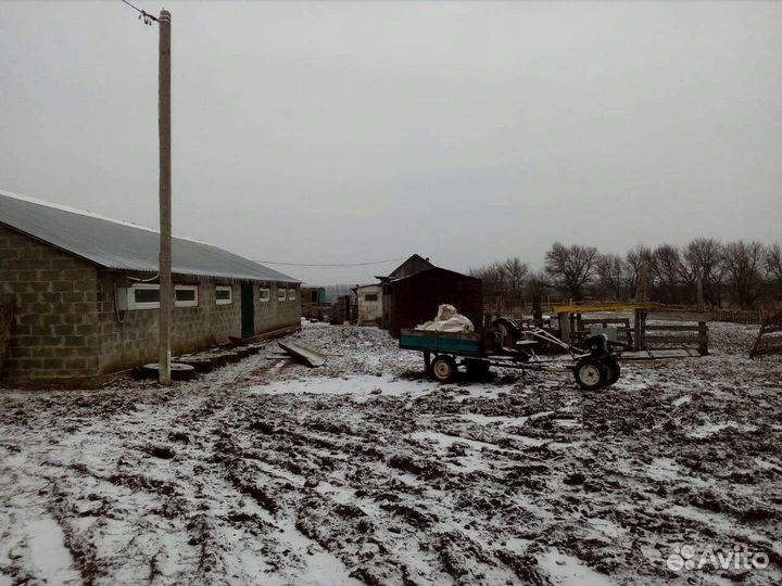 Фермерское хозяйство в аренду