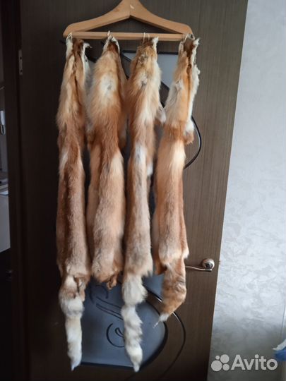 Лисья шкура