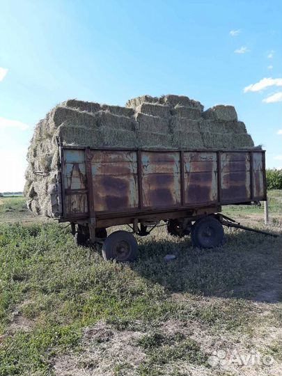 Сено в тюках