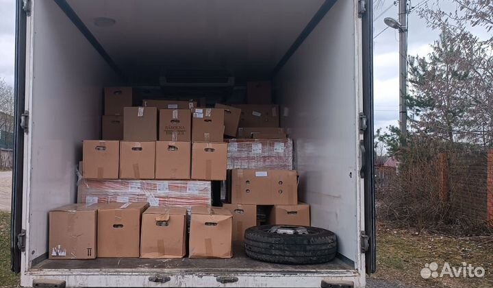 Инкубационное яйцо Бройлер, Несушка, Индейка