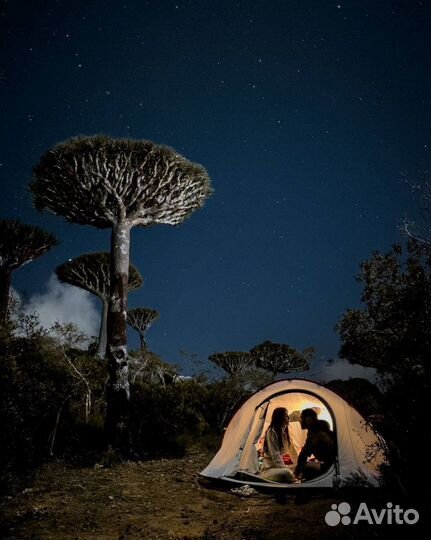 Тур на о. Сокотра