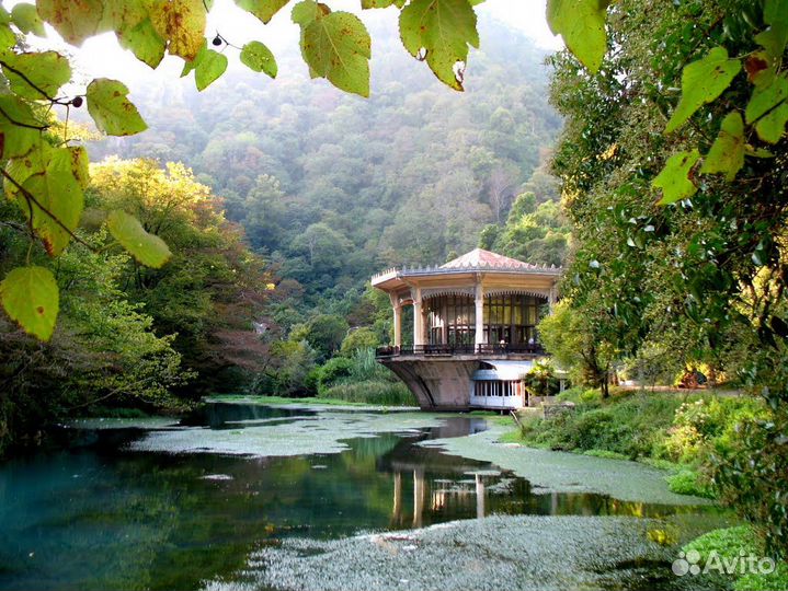 Спа-тур в Абхазию поездка на источники Кындыг