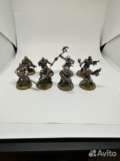 Chaos cultists