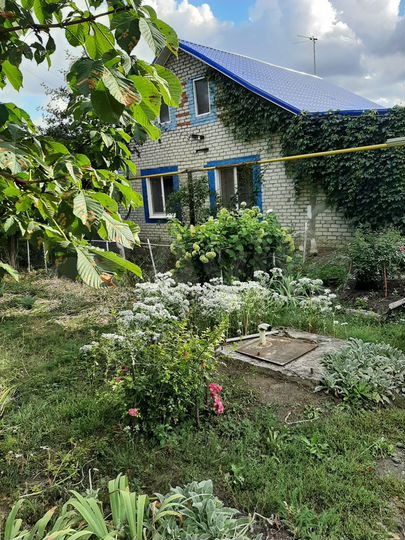 Снять дом в губкине. Авито губкин белгородская область. Снять дом в губкине. Губкин дом. Село хворостянка улица центральная дом 118 квартира 1.