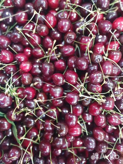 Черешня свежая
