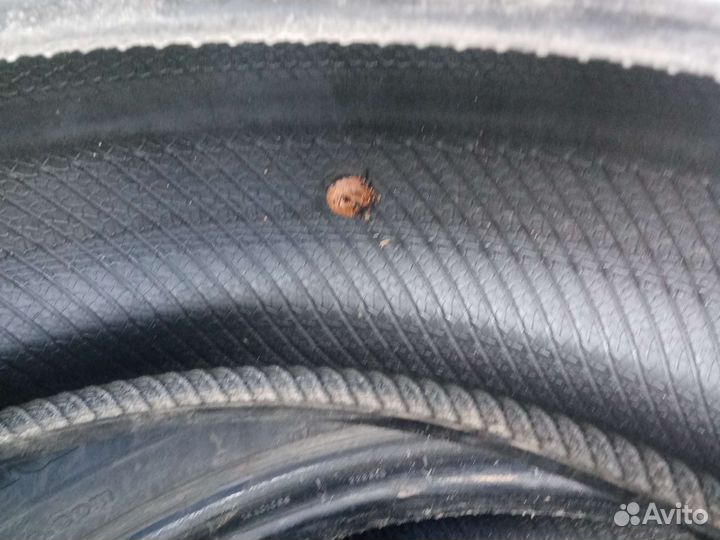 Continental ContiPremiumContact 5 205/55 R16 91H