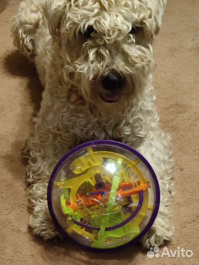 Шар-головоломка Spin Master Perplexus Original 100