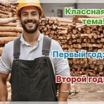 Агентство по деревообработке в городе, Каракас