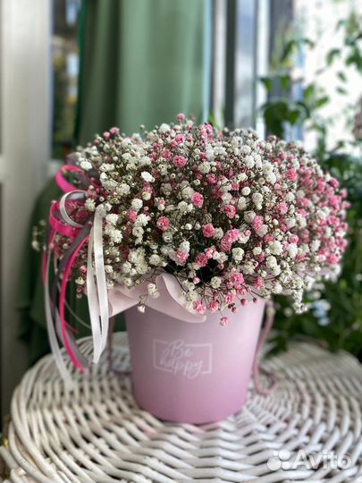 Гипсофила в коробке