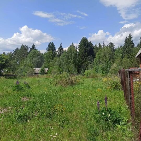 Участок 9 сот. (СНТ, ДНП)