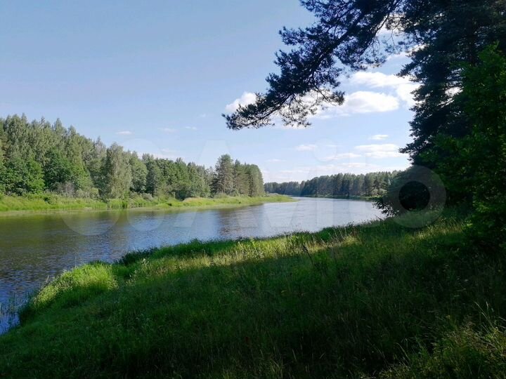 Дом 50 м² на участке 32 сот.