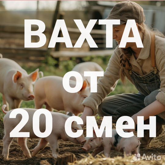 Помощник ветеринара без опыта вахта